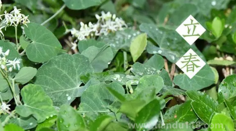 2023過(guò)年打春什么說(shuō)法（打春后天氣怎么樣）