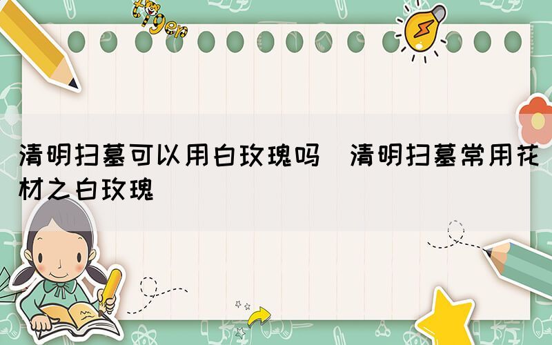 清明掃墓可以用白玫瑰嗎(清明掃墓常用花材之白玫瑰)