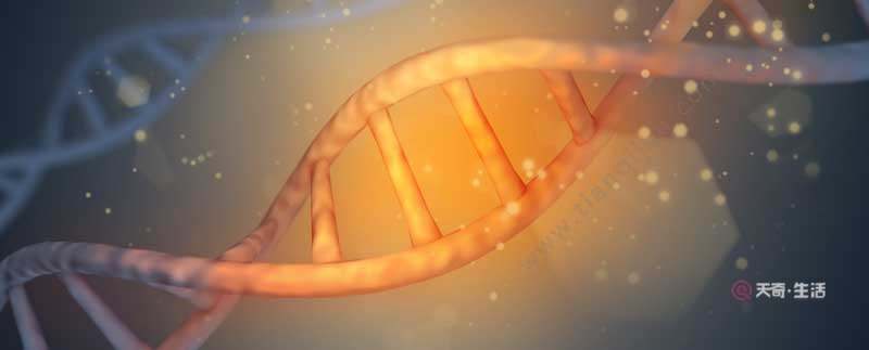 組成多聚核苷酸的骨架成分是