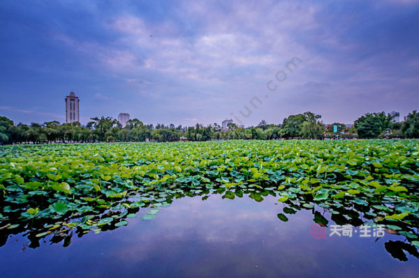 昆明市區(qū)有什么好玩的
